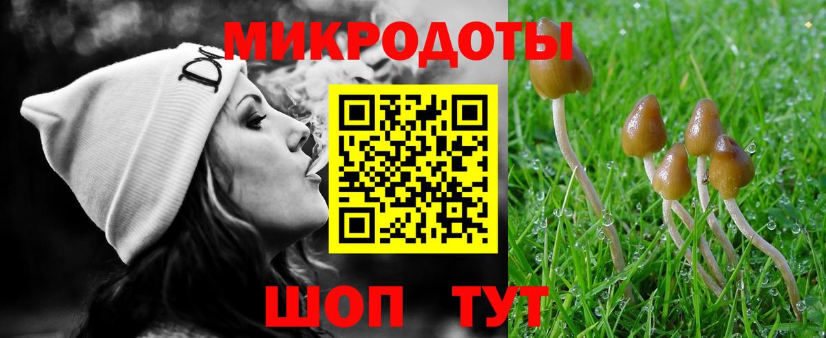 Галлюциногенные грибы GOLDEN TEACHER  Псилоцибиновые грибы мицелий  Егорьевск  Вход с VPN 